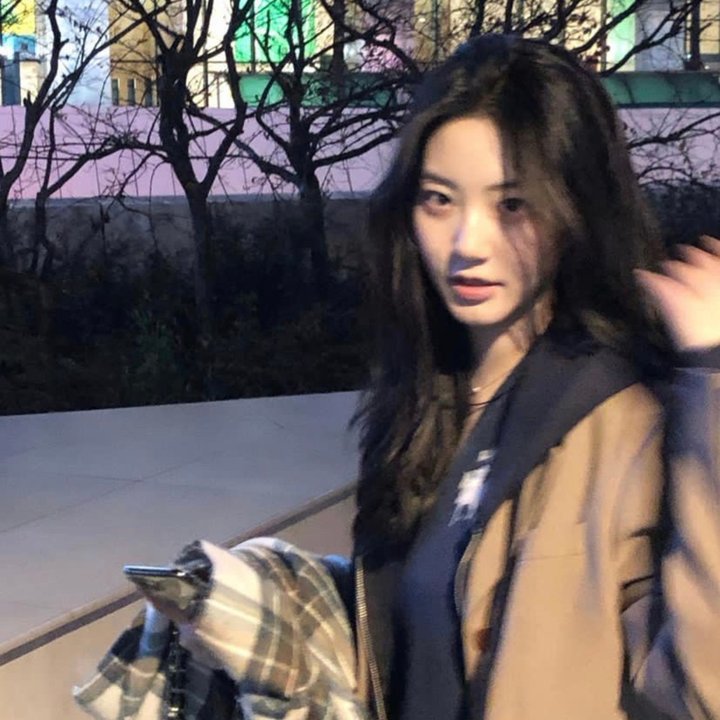 夜晚布鲁士